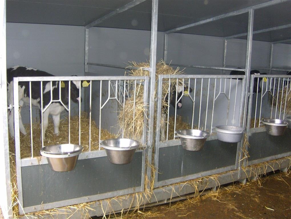 Melkstand des Typs Agro Kalvehytter, Gebrauchtmaschine in Kjellerup (Bild 5)