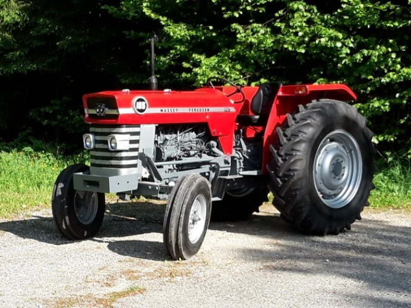 Oldtimer-Traktor des Typs Massey Ferguson 165, Gebrauchtmaschine in Villach (Bild 1)