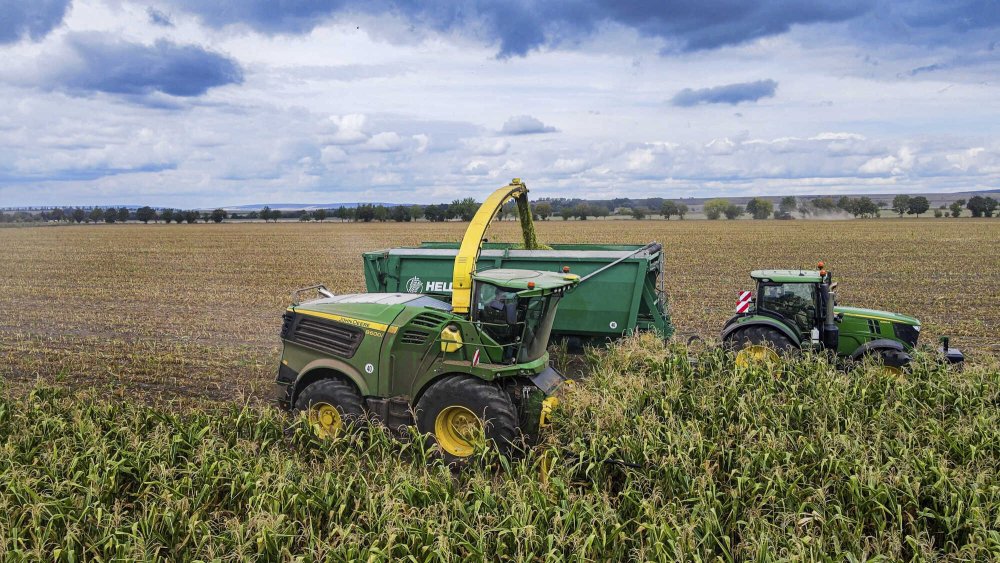 Modellpflege: Viele Kleinigkeiten aus der großen 9000er-Serie finden nun auch in den kleinen Geschwistern Platz.
© Brockmann