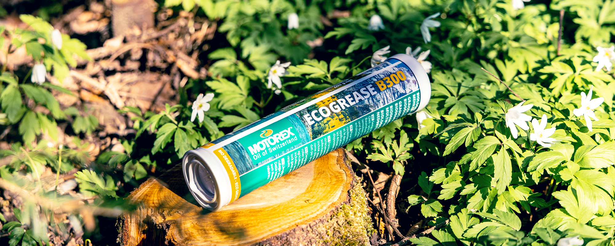 Wer gut schmiert, der gut schützt. Motorex!