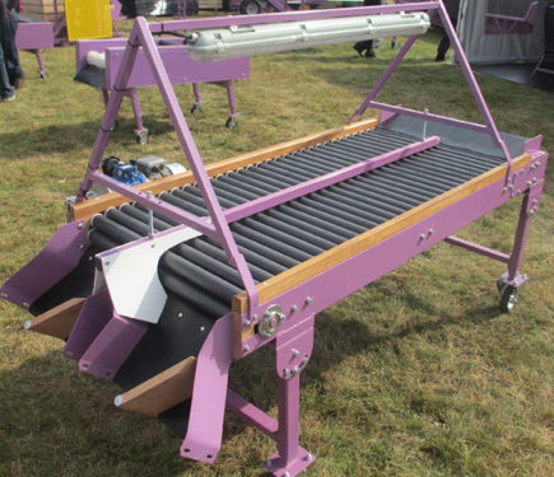 Kartoffel-Sortiermaschine des Typs Conpexim AKTION Verlesetisch mit Variomotor 200x85 cm, Neumaschine in Apetlon (Bild 1)