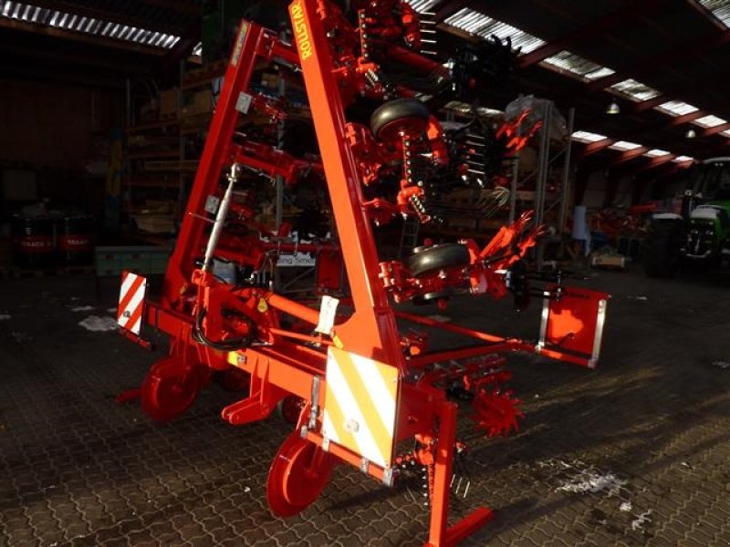 Sonstige Kartoffeltechnik des Typs Einböck Rollstar ekr-8, Gebrauchtmaschine in Horsens (Bild 2)