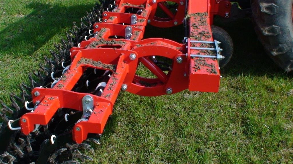 Egge des Typs Einböck Rotarystar, Gebrauchtmaschine in Horsens (Bild 8)