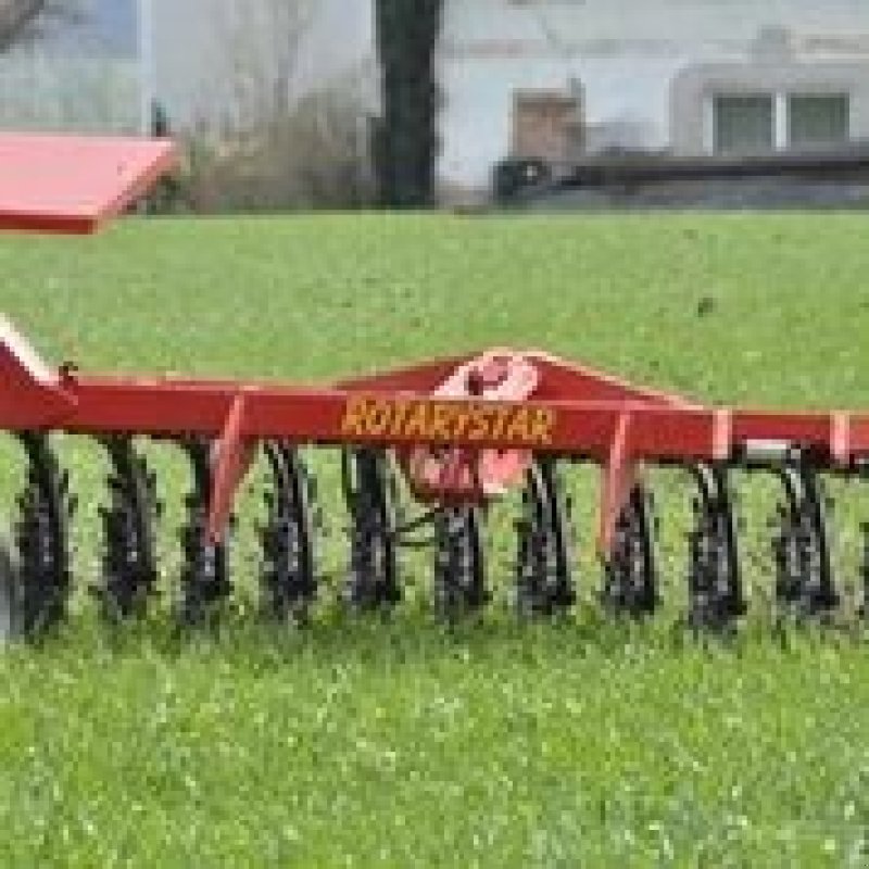 Egge des Typs Einböck Rotarystar, Gebrauchtmaschine in Horsens (Bild 10)