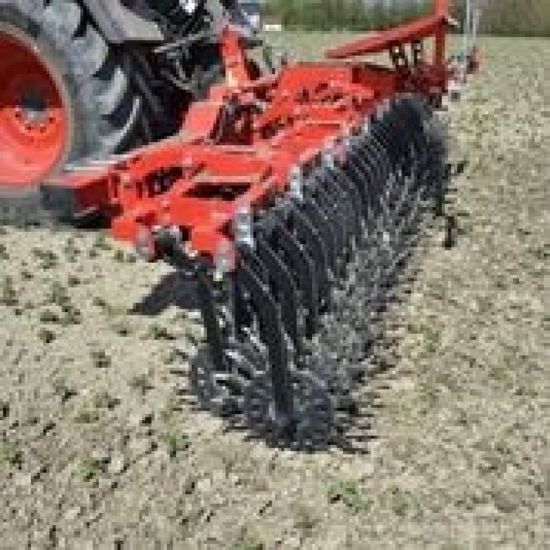 Egge des Typs Einböck Rotarystar, Gebrauchtmaschine in Horsens (Bild 9)