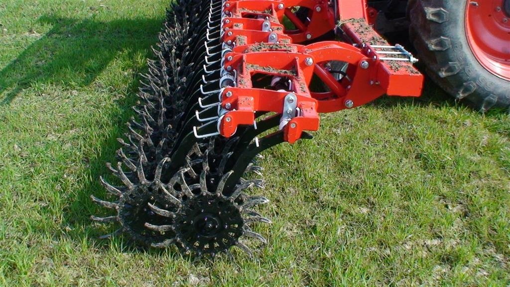Egge des Typs Einböck Rotarystar, Gebrauchtmaschine in Horsens (Bild 7)