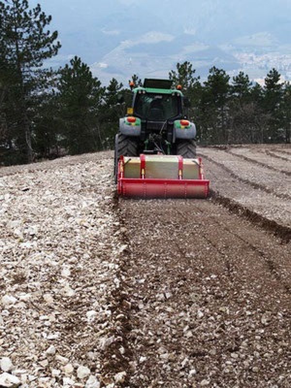 Stockfräse des Typs Seppi Midisoil 225 Kvalitetsmaskine - til dig der ønsker en solid løsning!, Gebrauchtmaschine in Kjellerup (Bild 3)