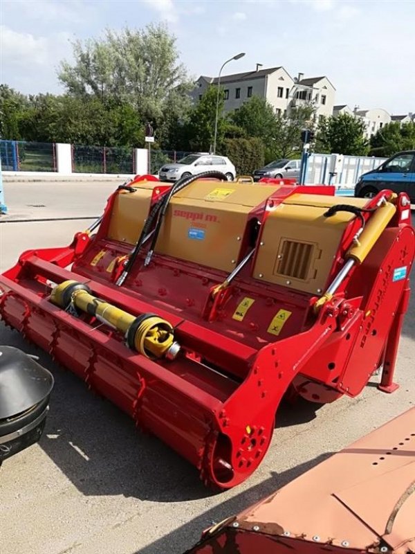 Stockfräse des Typs Seppi Starsoil 225 Robust maskine med faste mejsler "mono protect", Gebrauchtmaschine in Kjellerup (Bild 2)