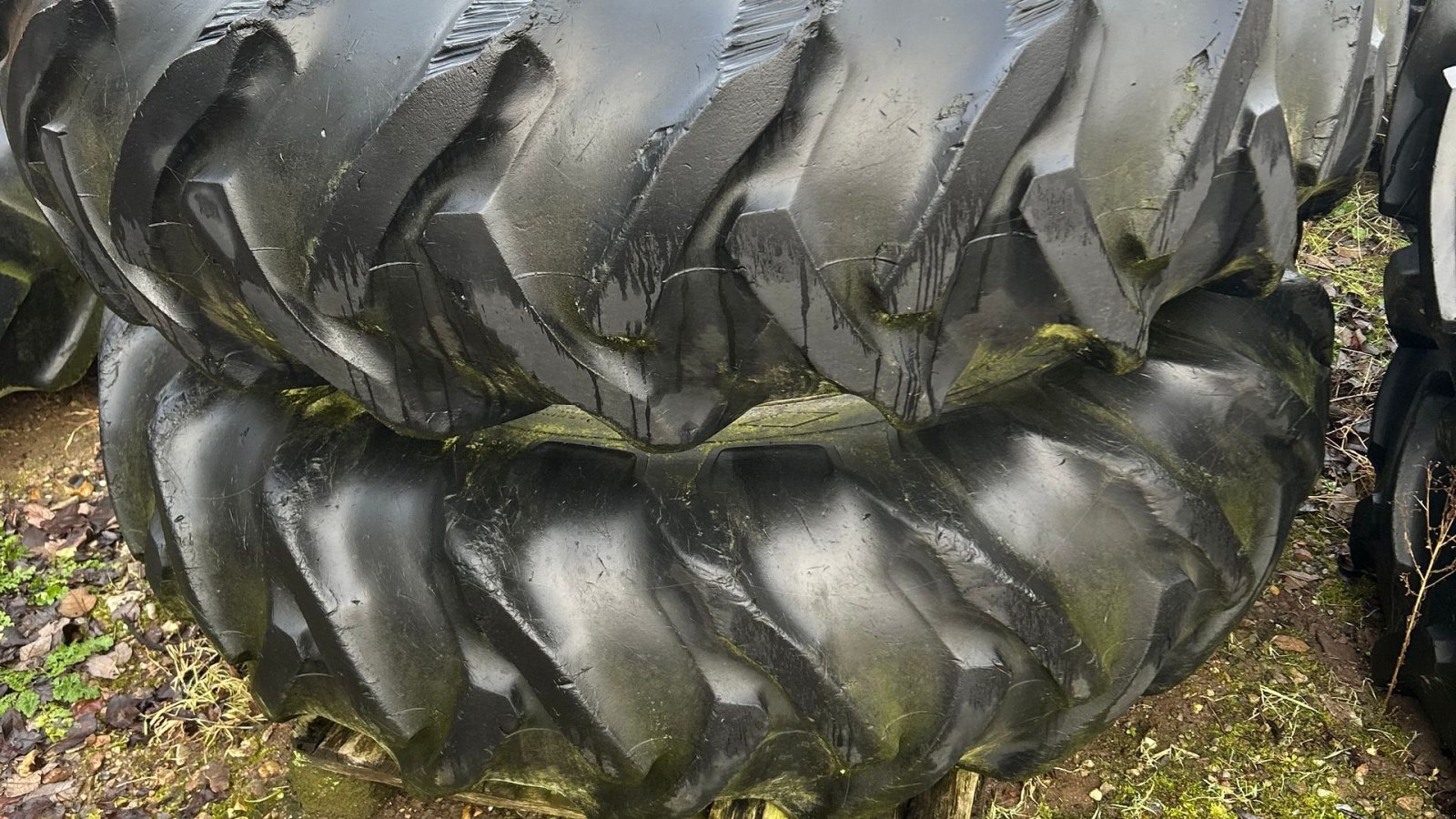 Reifen des Typs Molcon Handy 16,9x38 5 armet, Gebrauchtmaschine in Tinglev (Bild 4)