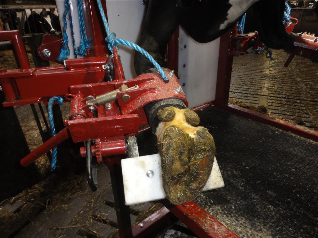 Sonstiges des Typs Pomi Std1 Fabriksny, Gebrauchtmaschine in Nørager (Bild 3)