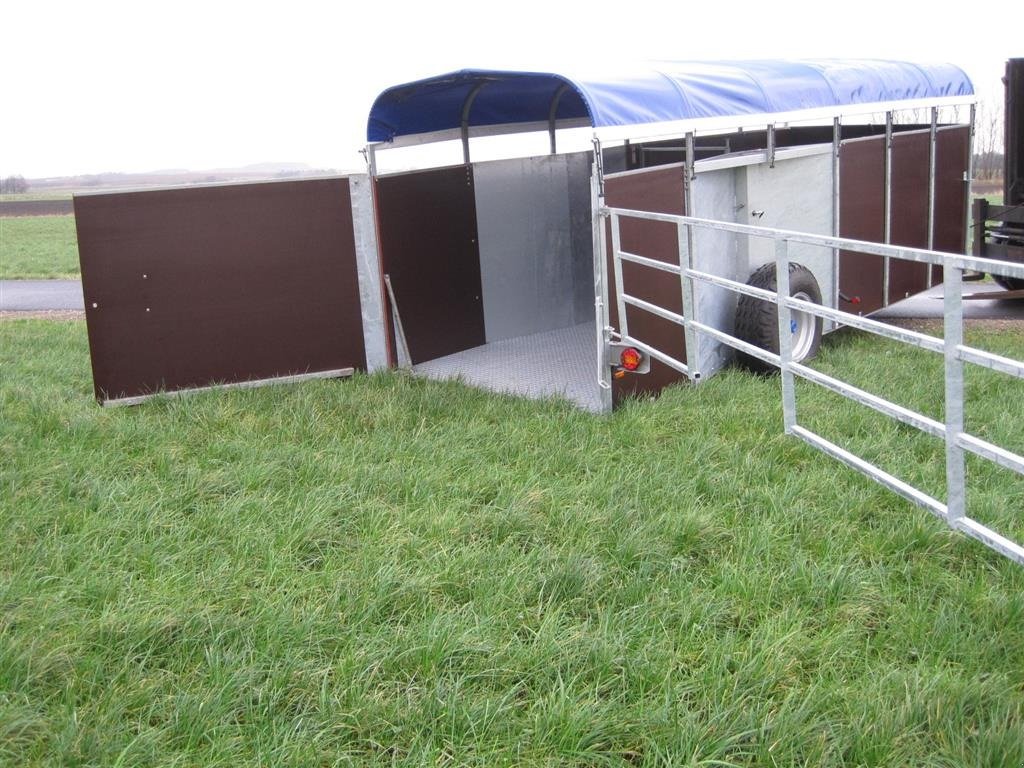 Viehanhänger des Typs Sonstige KV-16 Kreaturvogn 2x6m med galvaniseret bund og hyd.hæve-sænke, Gebrauchtmaschine in Tårs (Bild 4)