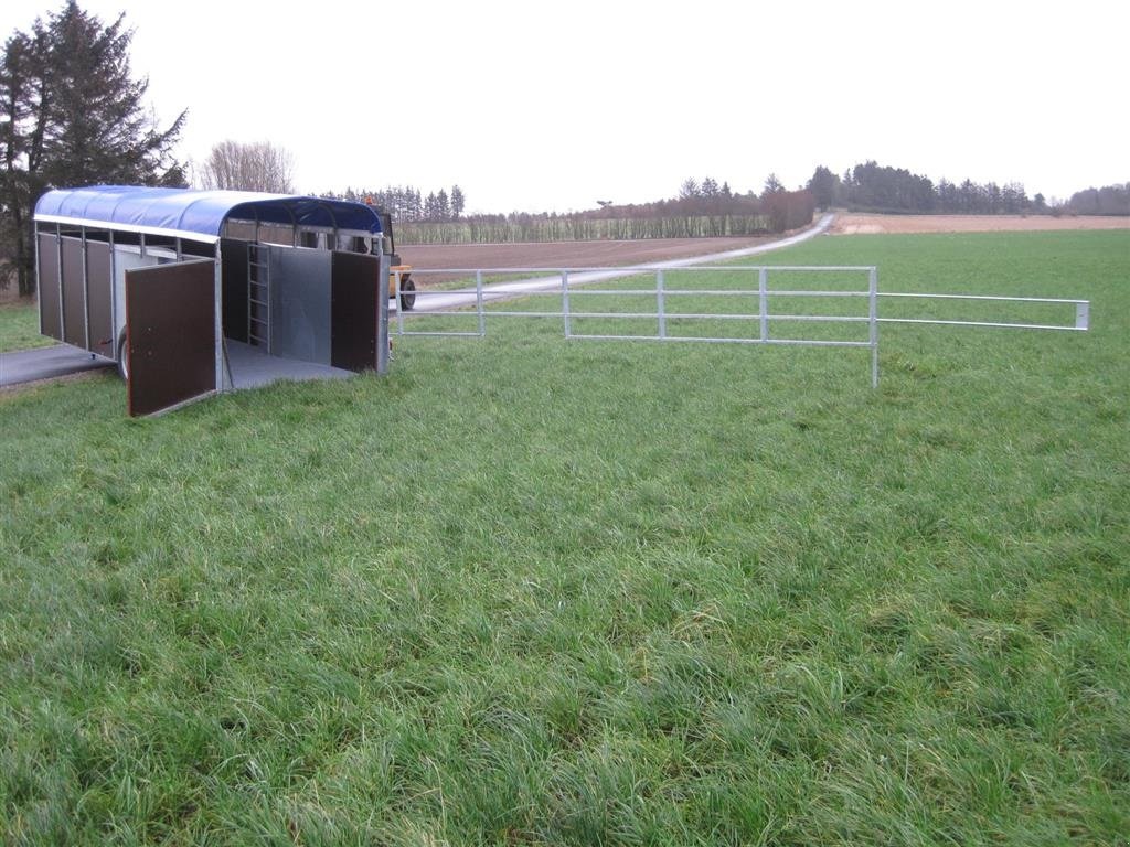 Viehanhänger des Typs Sonstige KV-16 Kreaturvogn 2x6m med galvaniseret bund og hyd.hæve-sænke, Gebrauchtmaschine in Tårs (Bild 5)