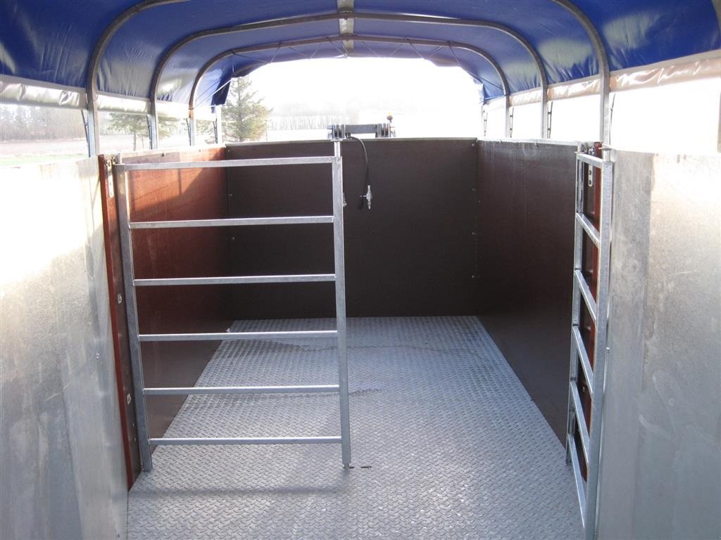 Viehanhänger des Typs Sonstige KV-16 Kreaturvogn 2x6m med galvaniseret bund og hyd.hæve-sænke, Gebrauchtmaschine in Tårs (Bild 3)