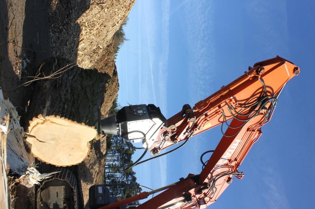 Holzspalter des Typs Reil & Eichinger KS 1500, Neumaschine in Nittenau (Bild 9)