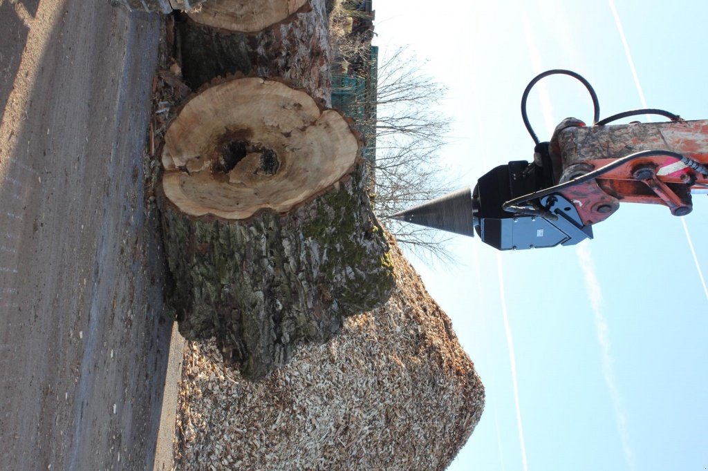 Holzspalter des Typs Reil & Eichinger KS 1500, Neumaschine in Nittenau (Bild 3)