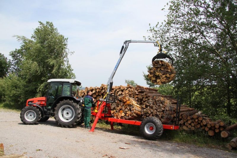 Astschere des Typs Sonstige Astsäge, Neumaschine in Nittenau (Bild 9)
