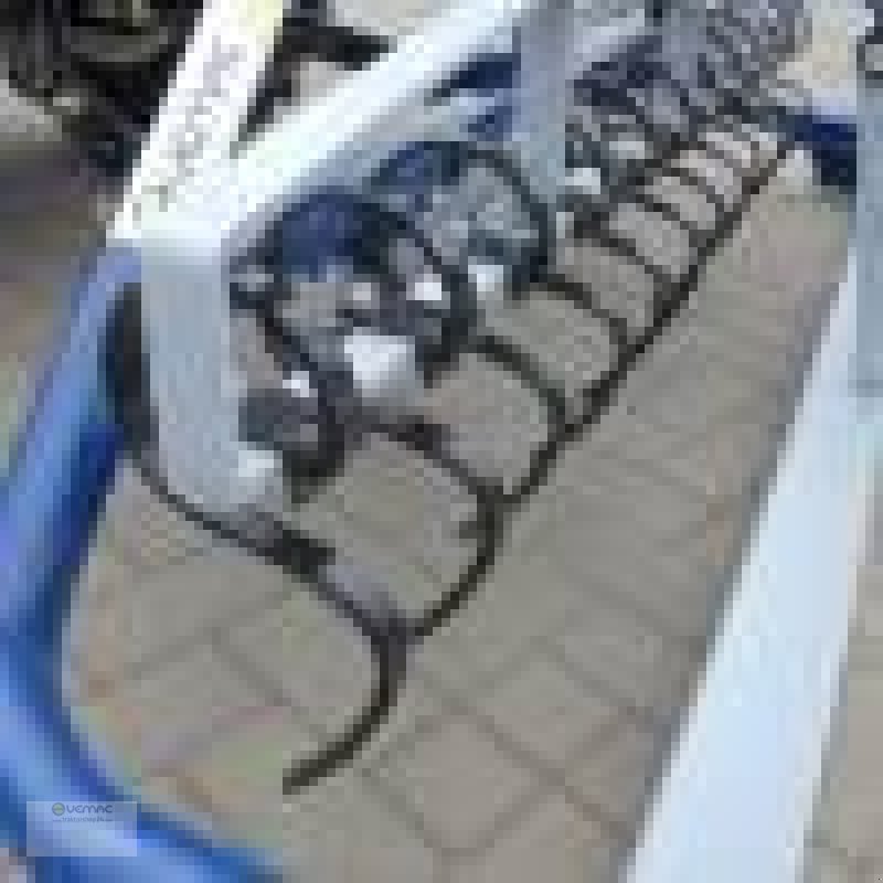 Sonstige Walzen des Typs Vemac Bahnplaner Reitbahnplaner Reitplatzplaner Planer NEU 240cm, Neumaschine in Osterweddingen / Magdeburg (Bild 11)