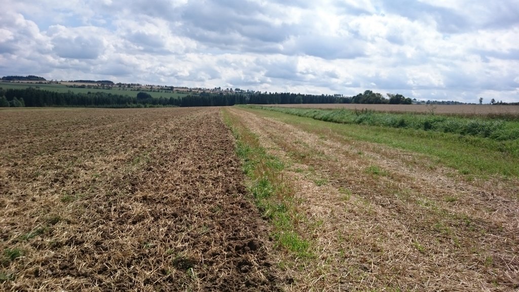 Grubber des Typs EuM-Agrotec Vibrocat 60, Neumaschine in Thalmässing (Bild 13)