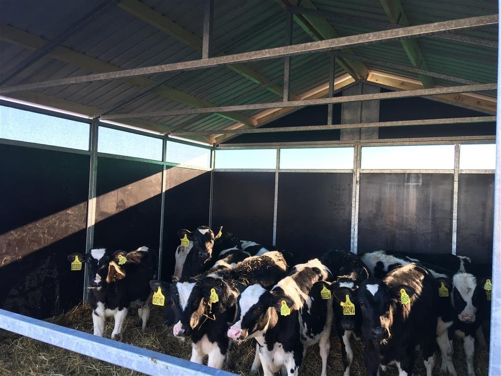 Melkstand des Typs Sonstige Modulhuse, Gebrauchtmaschine in Skive (Bild 5)