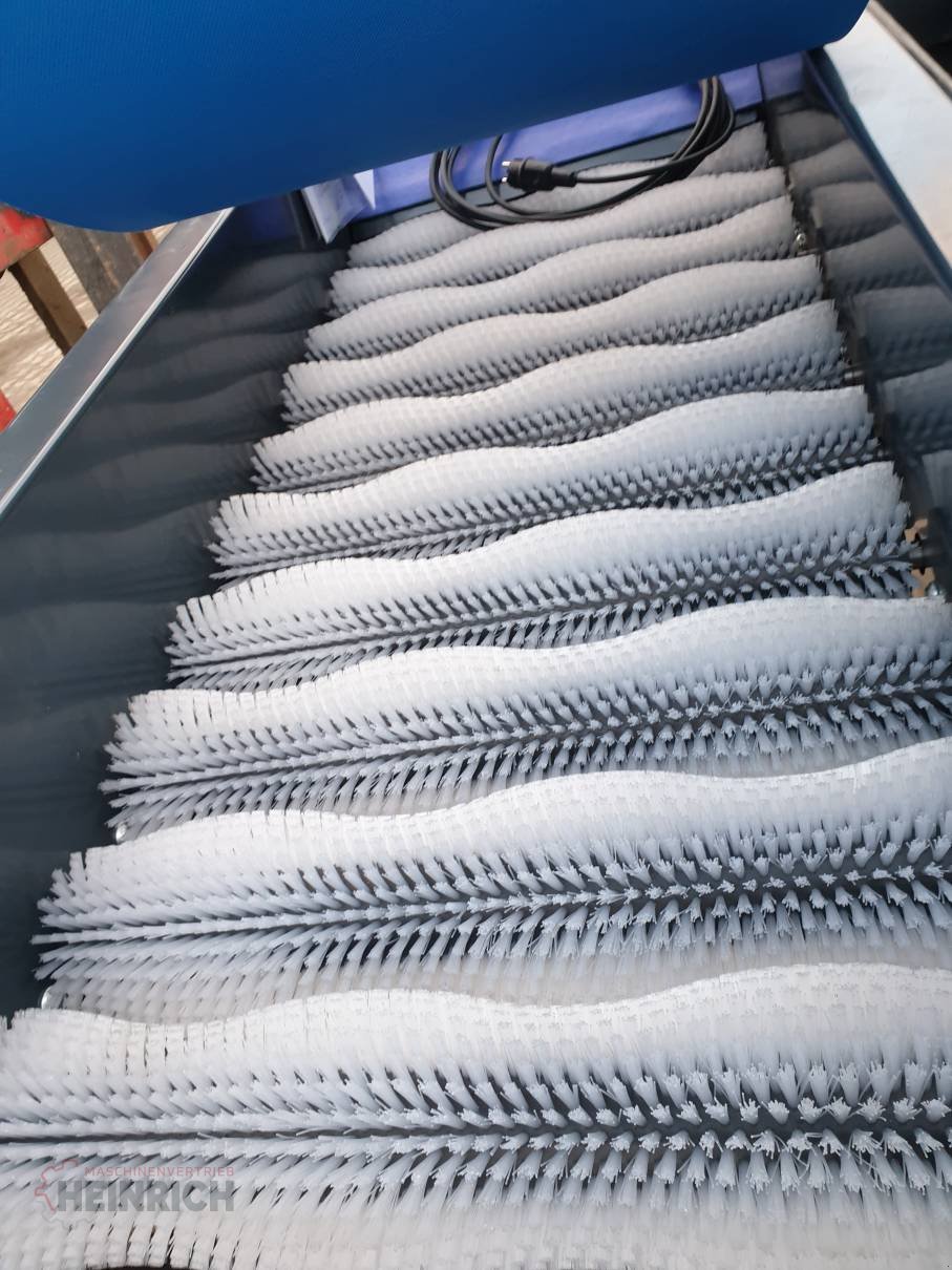 Sonstige Kartoffeltechnik des Typs KMK Bürstenmaschine, Kartoffelbürstenmaschine, BürstenS1055, Neumaschine in Ehekirchen (Bild 11)
