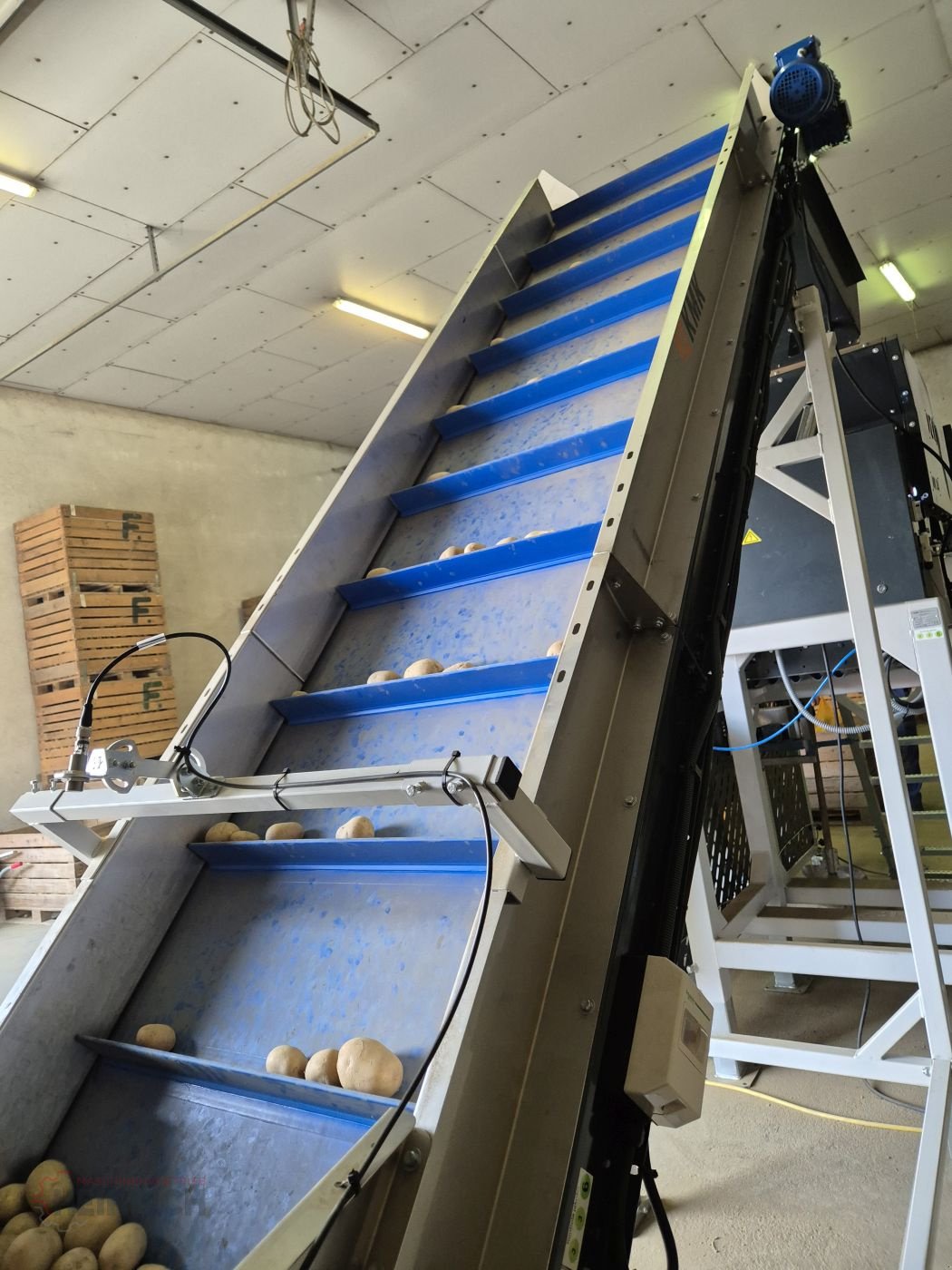 Kartoffellagerungstechnik des Typs KMK Förderband, Muldenband, Steigband, Flachband, Transportband, Flexowell, Neumaschine in Ehekirchen (Bild 26)