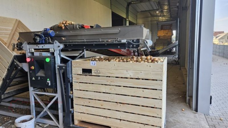 Kartoffellagerungstechnik des Typs KMK Kistenfüller, Kisten befüllen, NS2, Neumaschine in Ehekirchen (Bild 1)