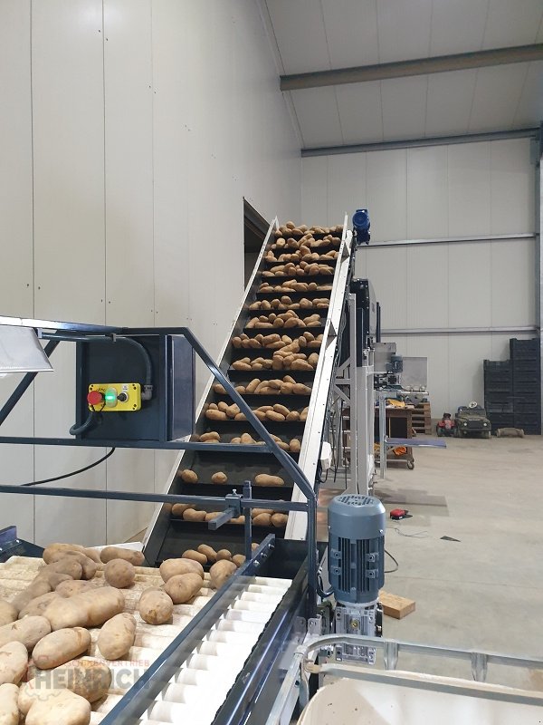 Kartoffellagerungstechnik des Typs KMK Rollenverlesetisch, Verlesetisch, Verleseband Modell T, Neumaschine in Ehekirchen (Bild 7)