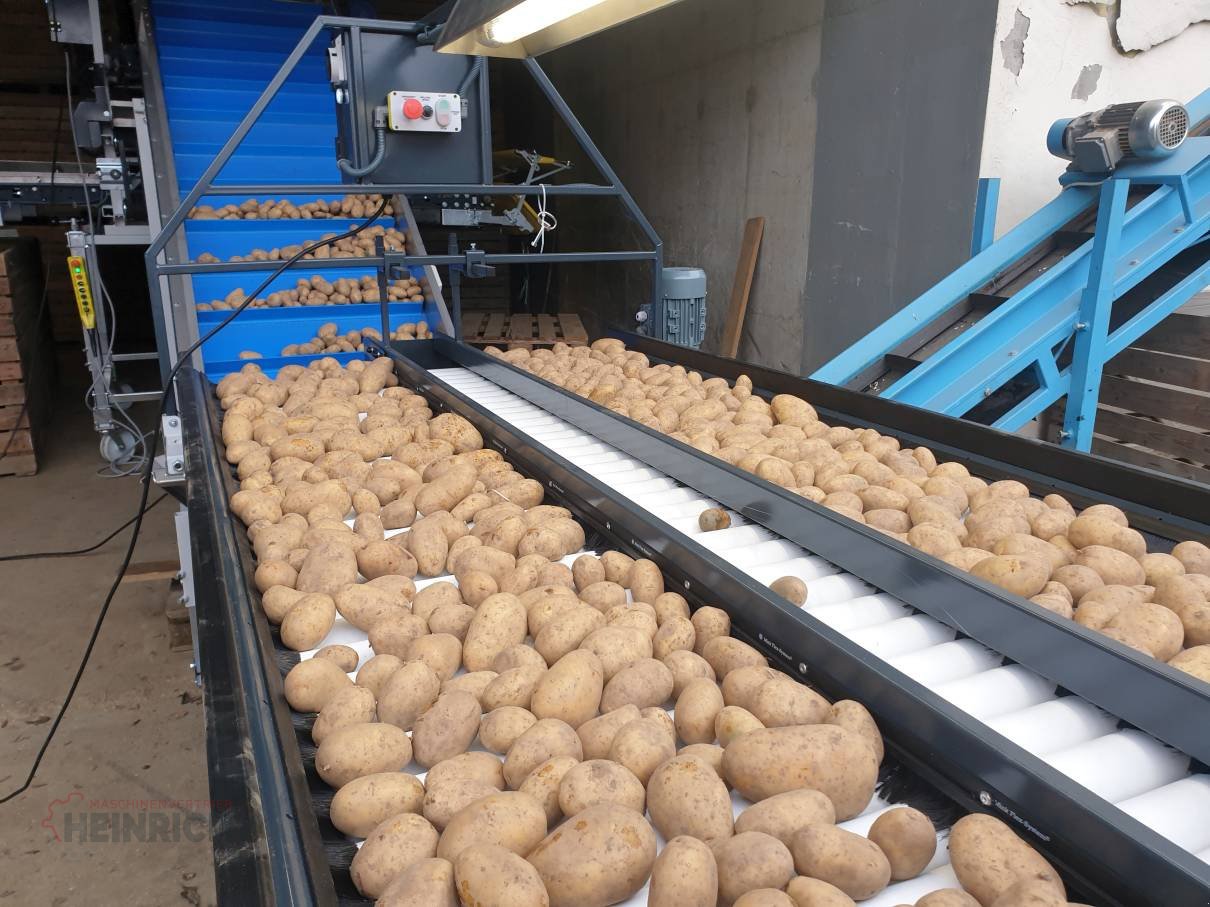 Kartoffellagerungstechnik des Typs KMK Rollenverlesetisch, Verlesetisch, Verleseband Modell T, Neumaschine in Ehekirchen (Bild 18)