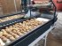 Kartoffellagerungstechnik des Typs KMK Rollenverlesetisch, Verlesetisch, Verleseband Modell T, Neumaschine in Ehekirchen (Bild 25)