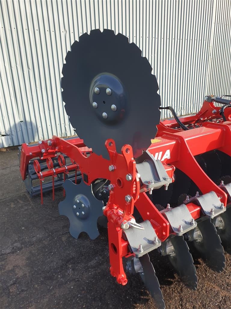 Kreiselegge des Typs Unia Ares XL 300, Gebrauchtmaschine in Hadsund (Bild 11)