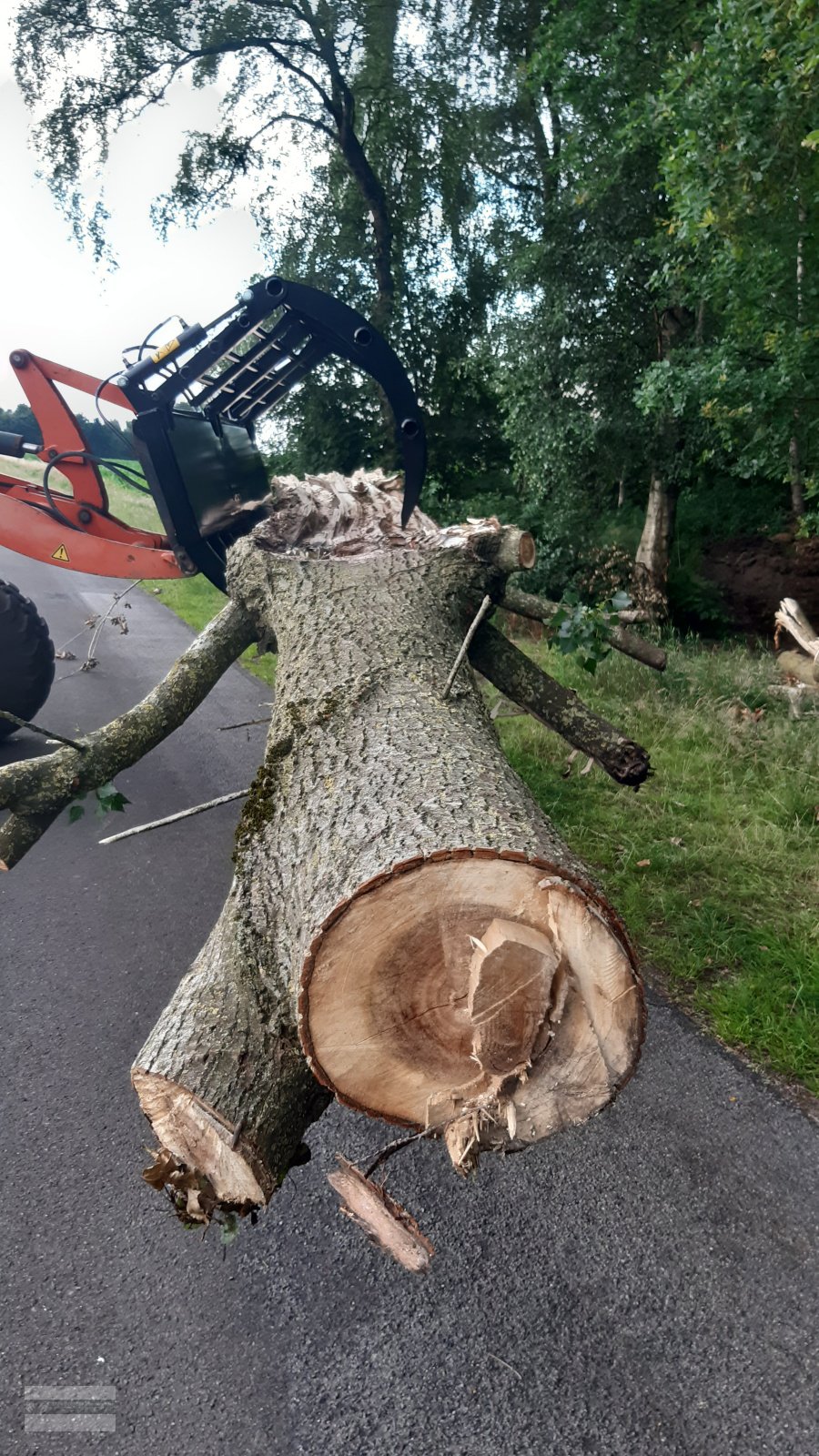 Sonstige Forsttechnik des Typs Sonstige Reisiggabel Räumfix Reisigrechen, Neumaschine in Beesten (Bild 2)