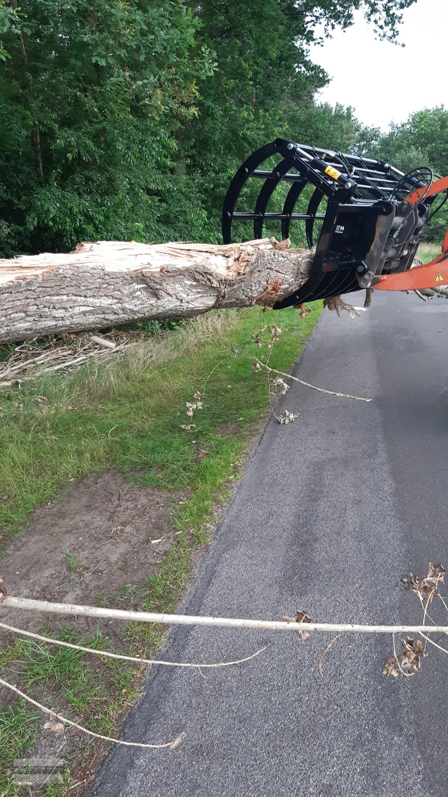 Sonstige Forsttechnik des Typs Sonstige Reisiggabel Räumfix Reisigrechen, Neumaschine in Beesten (Bild 3)