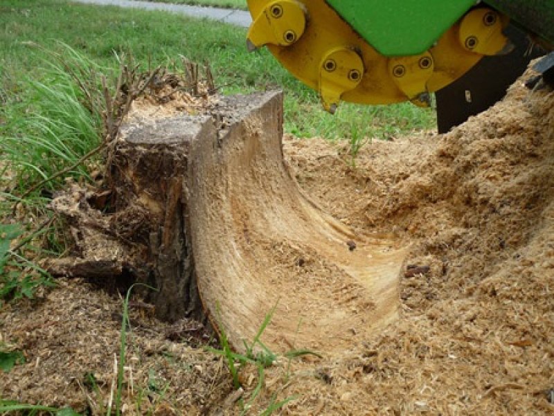 Stockfräse des Typs laski F 500H/38, Gebrauchtmaschine in Vrå (Bild 3)