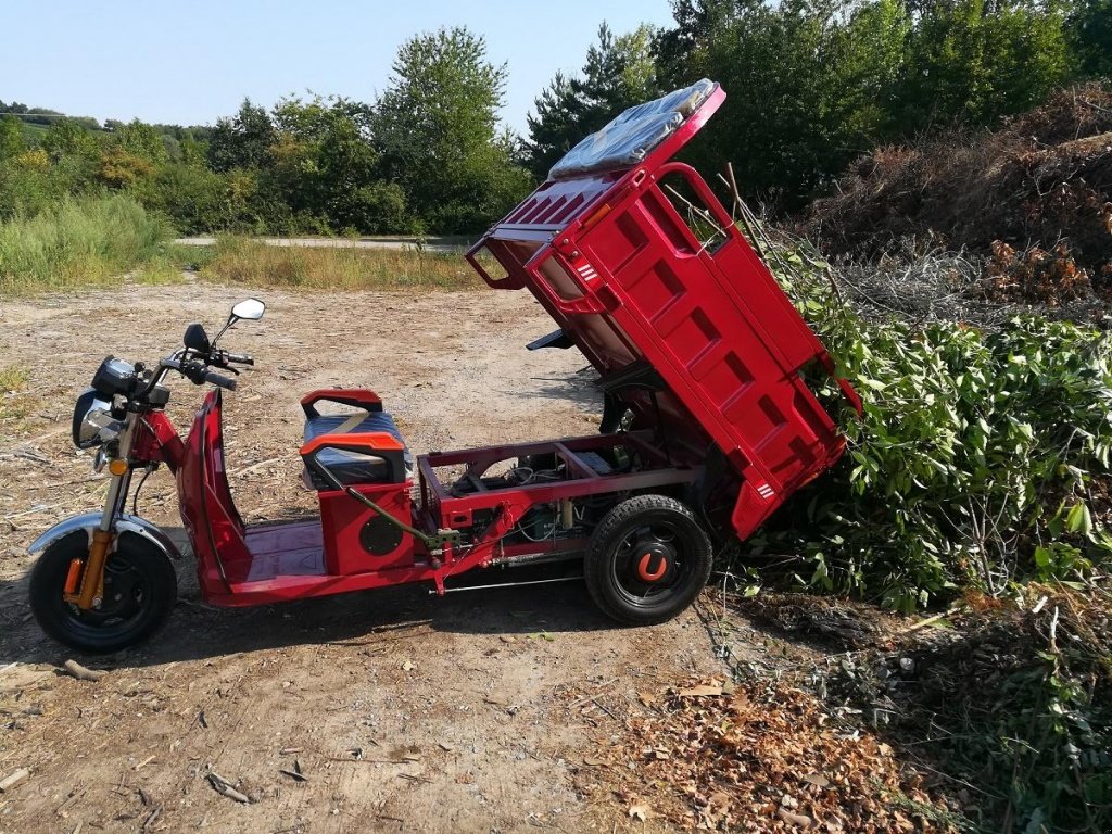 Gator des Typs Cargo Runner Elektro Lastendreirad, Neumaschine in Sommerach (Bild 1)