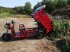 Gator des Typs Cargo Runner Elektro Lastendreirad, Neumaschine in Sommerach (Bild 1)