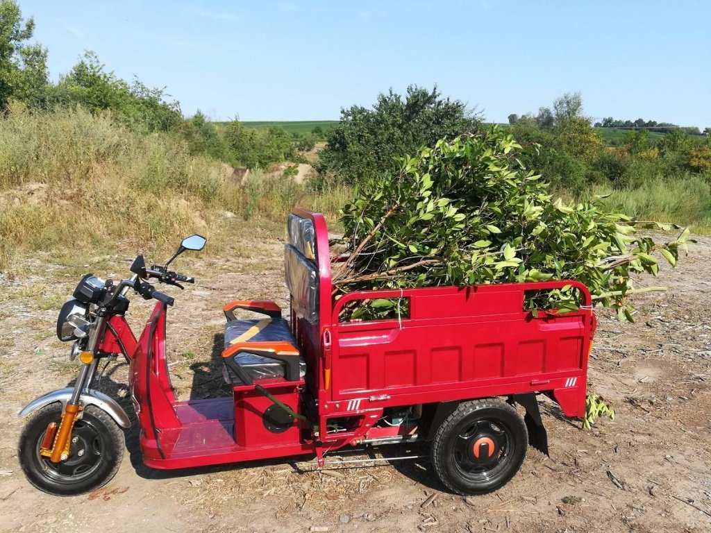 Gator des Typs Cargo Runner Elektro Lastendreirad, Neumaschine in Sommerach (Bild 24)