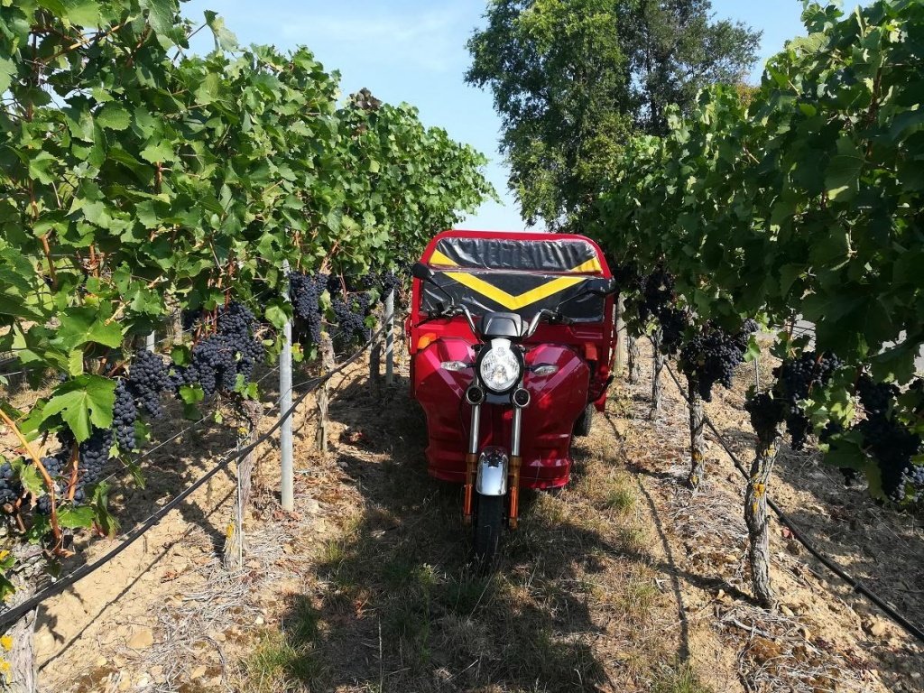 Gator des Typs Cargo Runner Elektro Lastendreirad, Neumaschine in Sommerach (Bild 22)