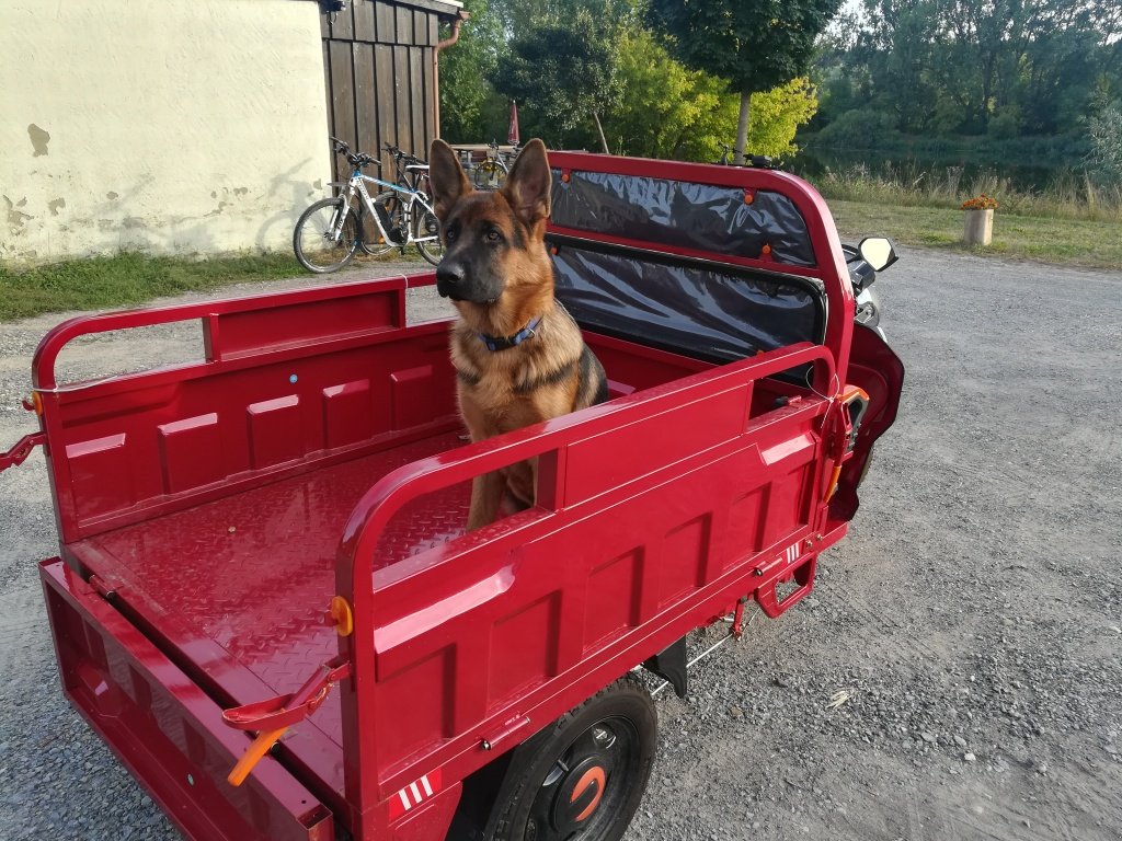Gator des Typs Cargo Runner Elektro Lastendreirad, Neumaschine in Sommerach (Bild 26)