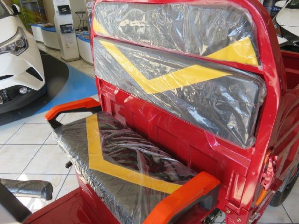 Gator des Typs Cargo Runner Elektro Lastendreirad, Neumaschine in Sommerach (Bild 8)