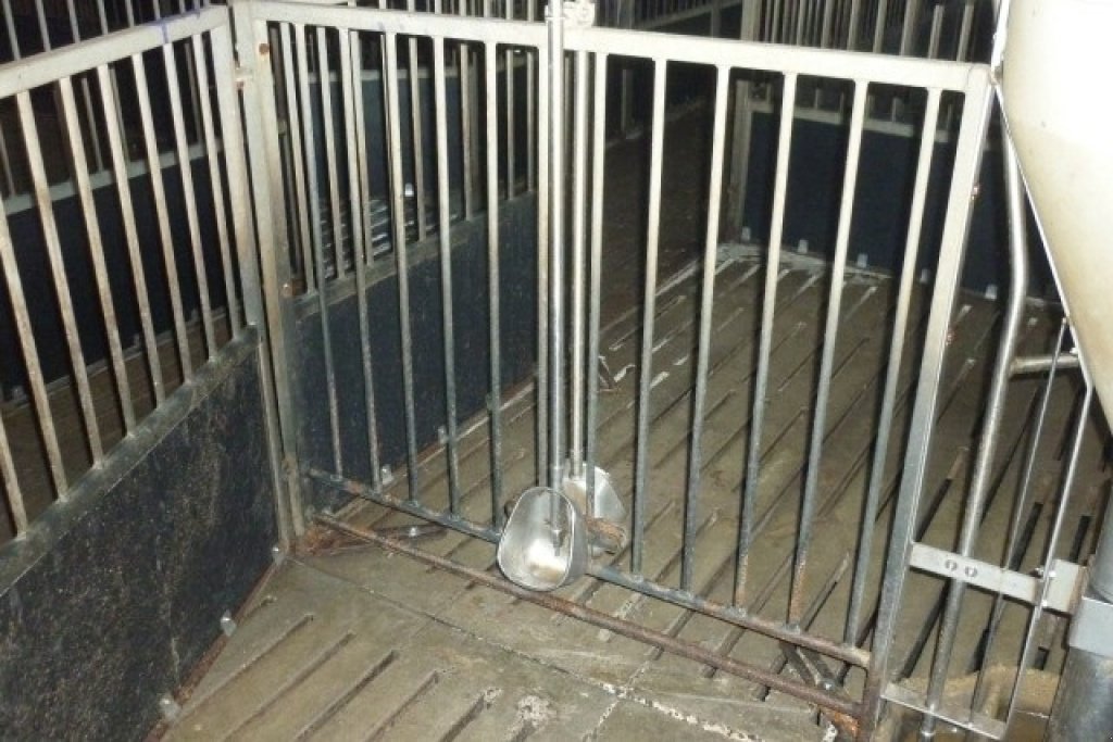 Aufstallung des Typs Sonstige Drikkekar til slagtesvin, Gebrauchtmaschine in Egtved (Bild 1)