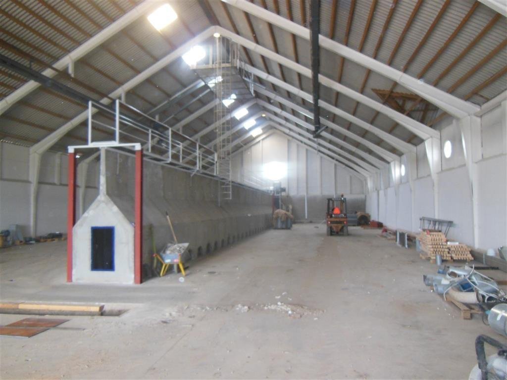 Sonstige Getreidelagertechnik des Typs Sonstige Planlager, ny, tilbud, Gebrauchtmaschine in Egtved (Bild 8)