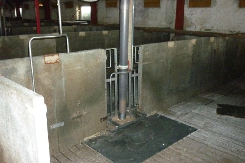 Sonstiges des Typs Sonstige 40 slagtesvinstier beton, Gebrauchtmaschine in Egtved (Bild 2)