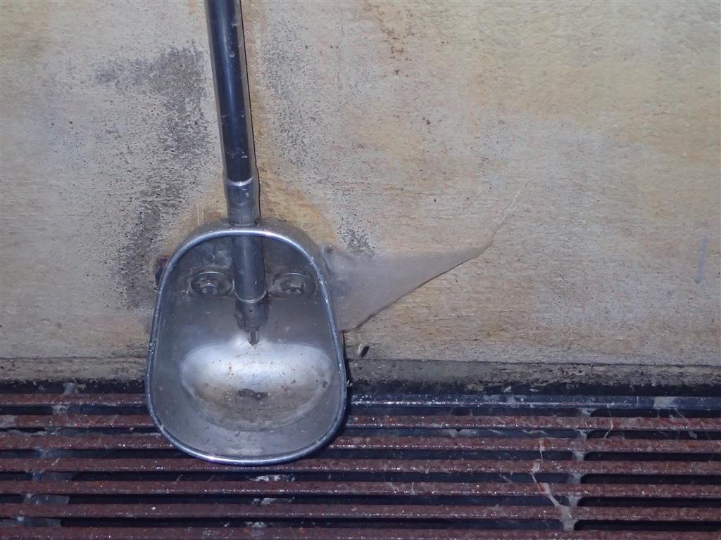 Aufstallung des Typs Sonstige Drikke kopper til smågrise, Gebrauchtmaschine in Egtved (Bild 4)