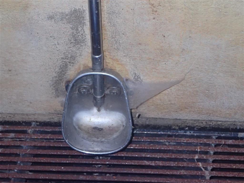 Aufstallung des Typs Sonstige Drikke kopper til smågrise, Gebrauchtmaschine in Egtved (Bild 1)