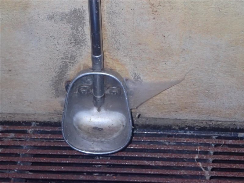 Aufstallung des Typs Sonstige Drikke kopper til smågrise, Gebrauchtmaschine in Egtved (Bild 1)