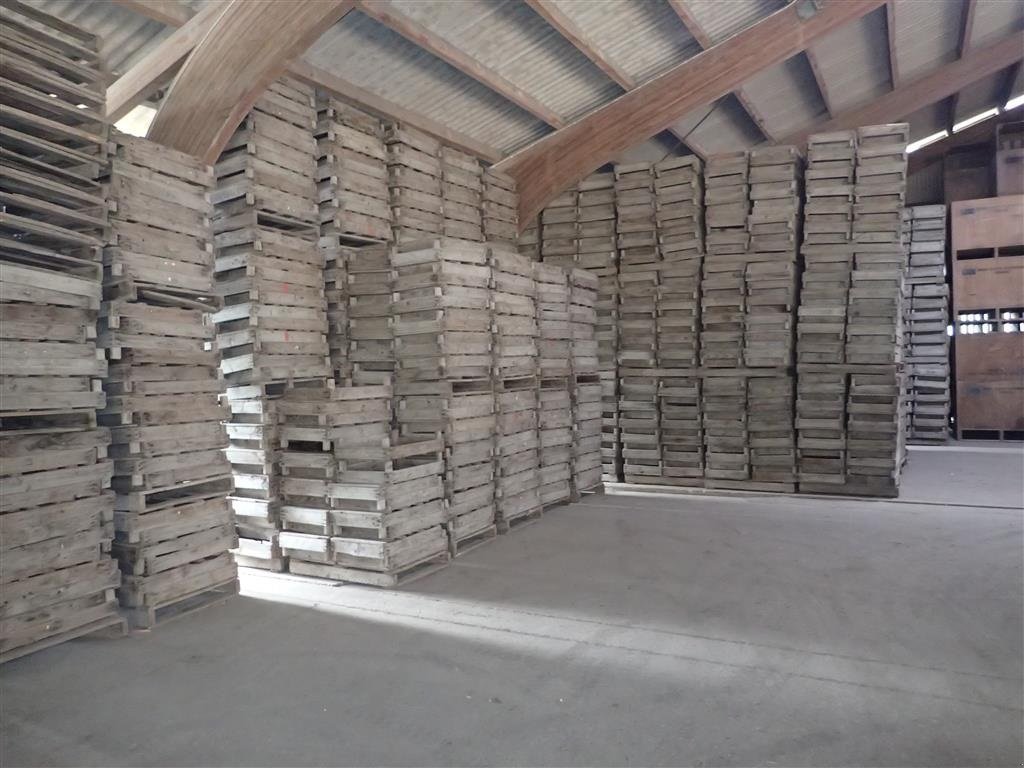 Sonstige Kartoffeltechnik des Typs Sonstige Løgkasser m/trådbund, Gebrauchtmaschine in Egtved (Bild 3)