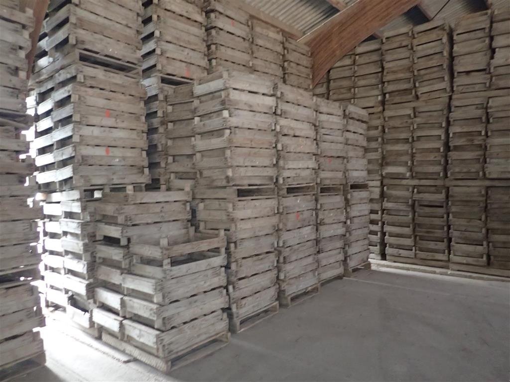 Sonstige Kartoffeltechnik des Typs Sonstige Løgkasser m/trådbund, Gebrauchtmaschine in Egtved (Bild 2)