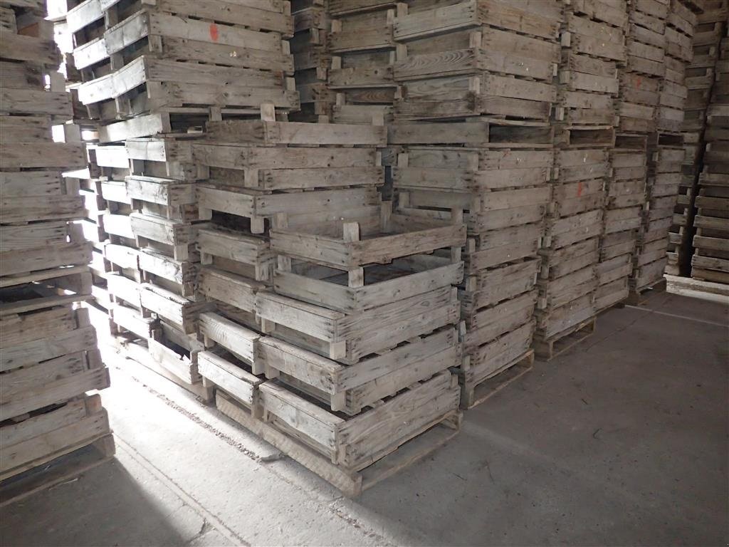 Sonstige Kartoffeltechnik des Typs Sonstige Løgkasser m/trådbund, Gebrauchtmaschine in Egtved (Bild 1)