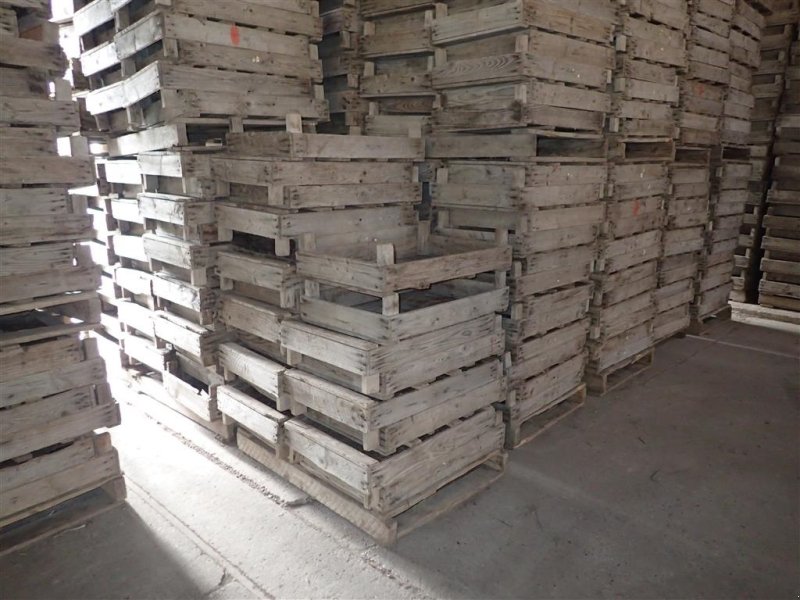 Sonstige Kartoffeltechnik des Typs Sonstige Løgkasser m/trådbund, Gebrauchtmaschine in Egtved (Bild 1)