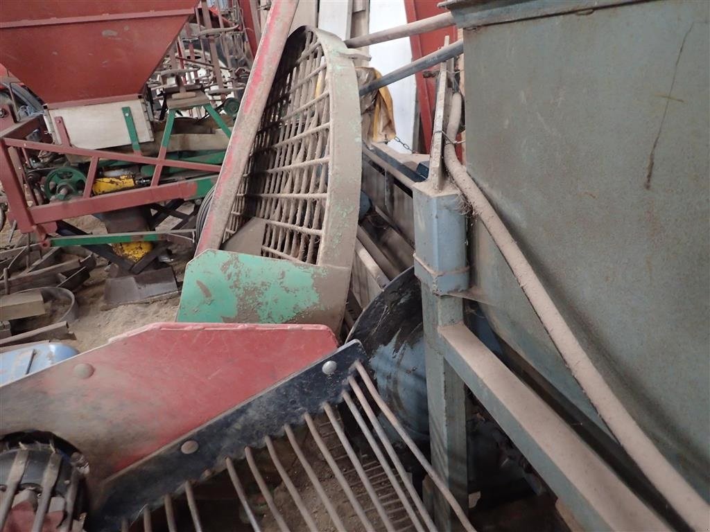 Sonstiges des Typs Sonstige Tulipanaftopper, Koningskopper, Gebrauchtmaschine in Egtved (Bild 4)